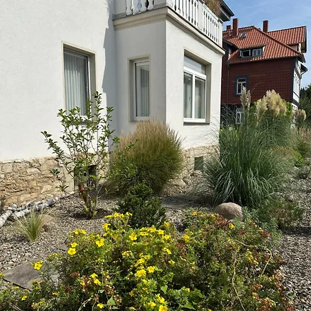 Auguststadt-residenz Apartament