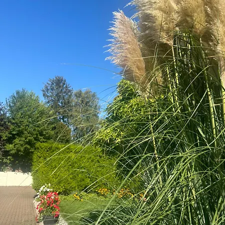 Daire Auguststadt-residenz